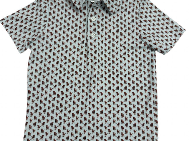 Boys' George Lab Polo Performance Polo *Hampton James B3 Collection Preorder*