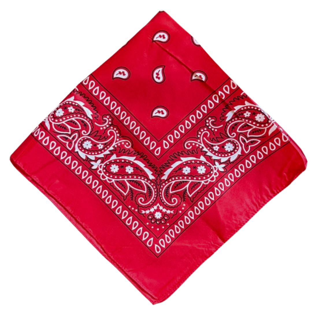 Southwest Tailgate Bandana *PREORDER*