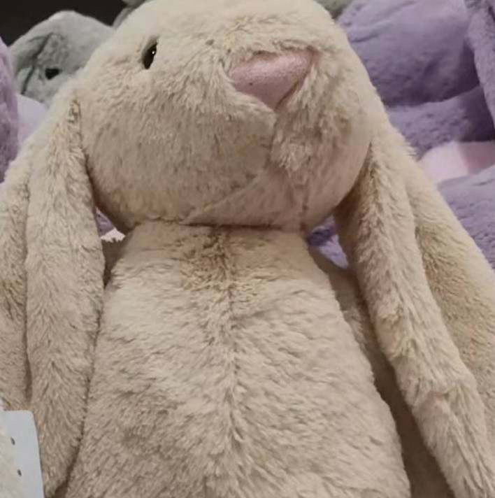 Soft Plush Bunny with Personalized Ear **PREORDER**